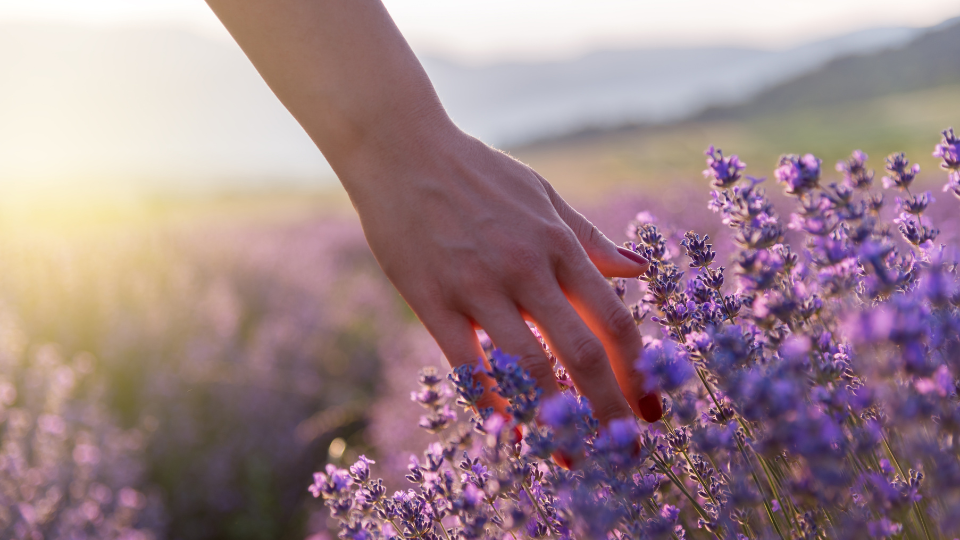 ragazza che sfiora i fiori con la mano